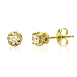 1/2 Ct. Tw. Yellow Diamond & Garnet Stud Earrings In