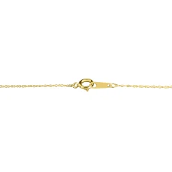 Diamond Oval Locket In 14K Yellow Gold