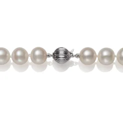 Freshwater Pearl Necklace In 14K White Gold, 18"