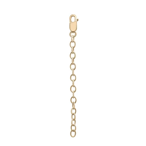 Necklace Extender In Vermeil, 2"